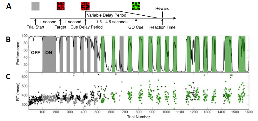 DBS Computational Model