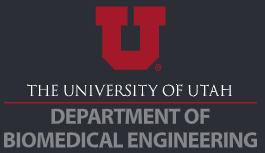 Biomedical Engineering Department logo