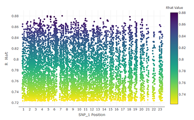 RhatVSsnp_1 is a importance plot of the top 10,000 SNP pairs. These results were obtained in less than three days using the CHPC resources. Other methods would have required weeks or even months to obtain these results.