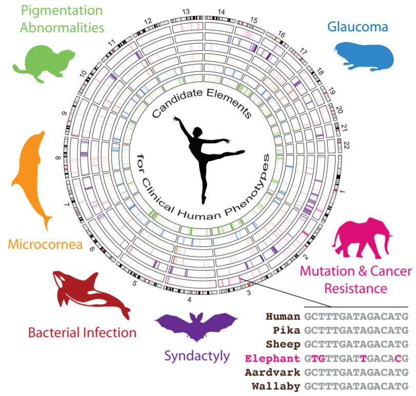 Species DNA 