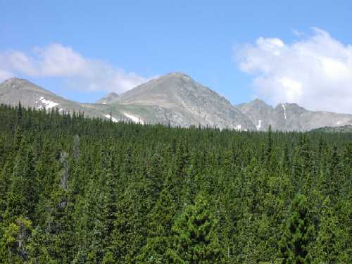 Niwot Ridge, Colorado